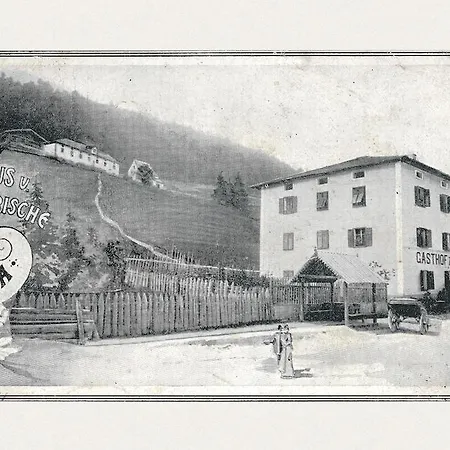 Hotel Pausa 3*